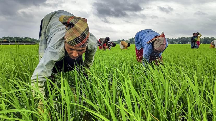 El Niño Threatens India's Monsoon: Drought Fears Rise