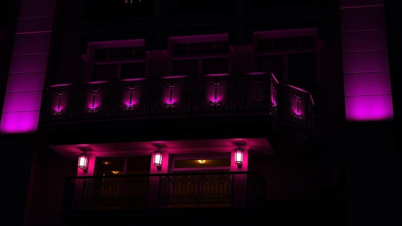 Light and Loss: India-Netherlands Artistry Unveiled