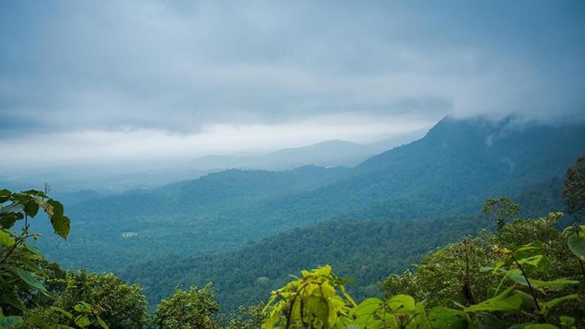 Biodiversity Wins: India Halts Quarrying in Fragile Ghats