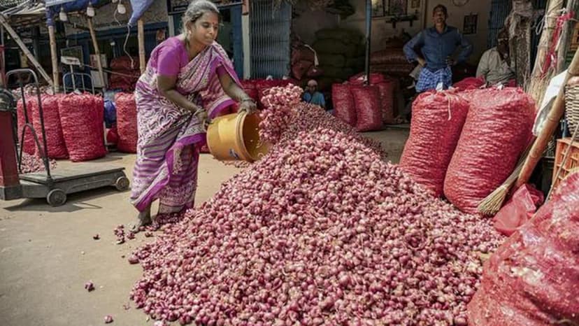 TNAU Predicts ₹30-35/kg for Small Onions