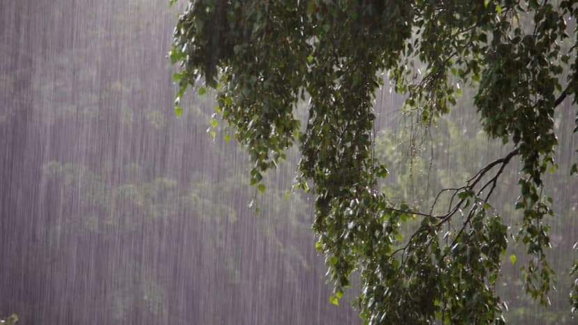 Heavy Rains Sweep Across India; Orange Alert Issued