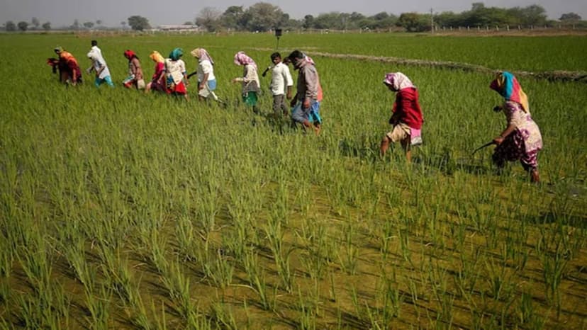 Farmers Paid for Soil Carbon: A Climate Win