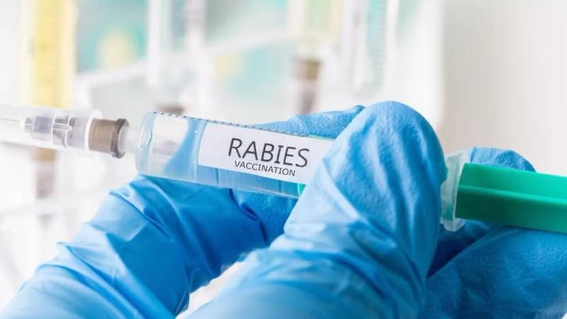 Indian Rabies Vaccine Linked to Counterfeit Scare