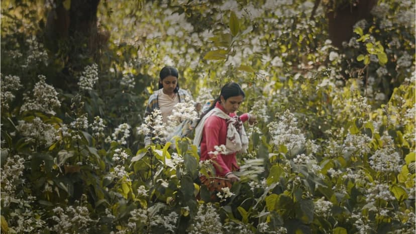 Indian Stars Back AI Film 'Humans in the Loop'