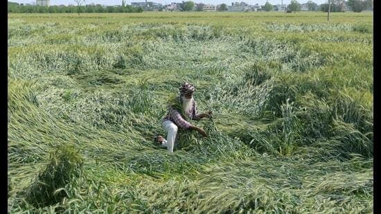 India braces for monsoon perils: Heat, lightning, and drought loom