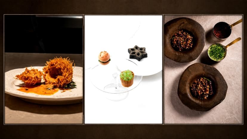 From Tribal Diets to Fine Dining: India's Ants Take Stage