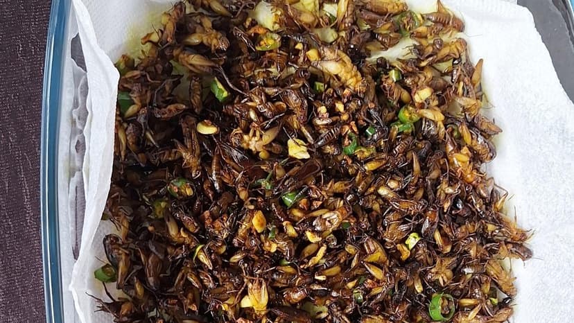 Insects: India's Forgotten Superfood?