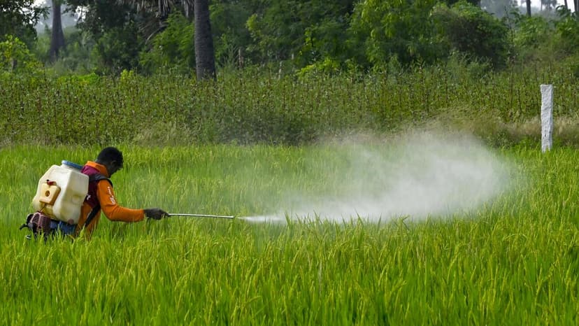 India's Invisible Poison: Pesticides Accumulate Unseen
