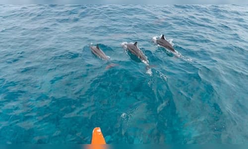 India's Luxury Travel: Escaping Cities for Untamed Escapes