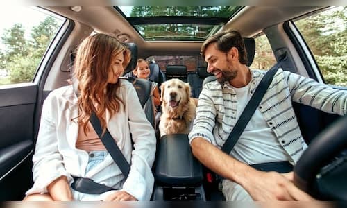 Fly, Ride, Stay: India's Pet-Friendly Travel Explodes