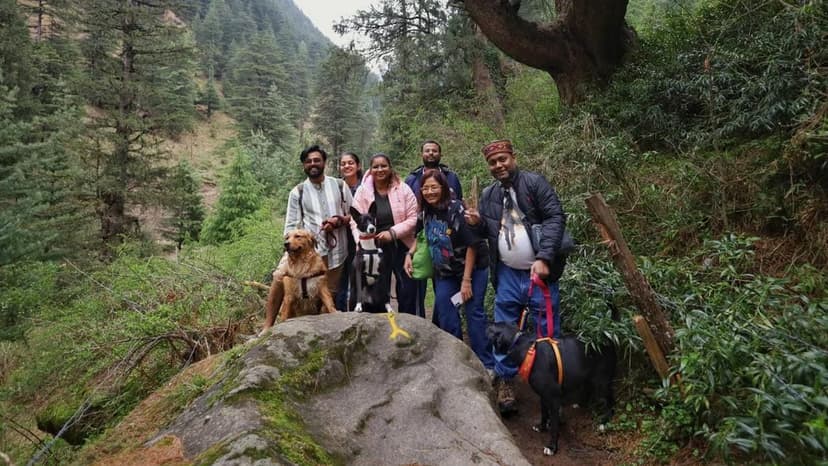 India's booming 'pawprint economy': Pets take center stage