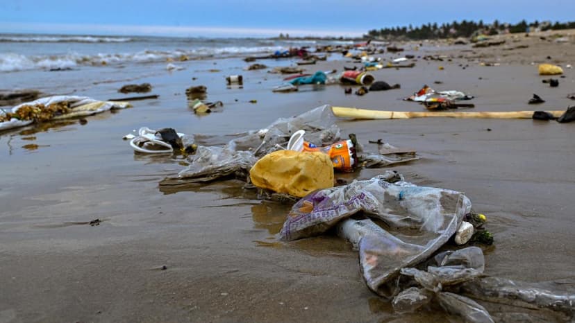 Plastic Ban Fails: 84% Cities Still Use Banned Items