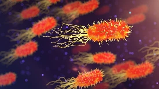 Silent Pandemic: India's Primary Healthcare Gap Fuels AMR Crisis