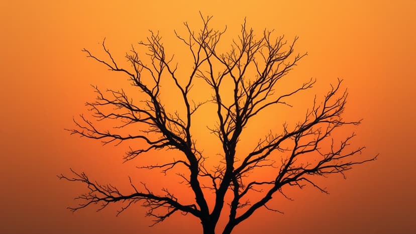 India's Record Heat Fuels Power Demand Crisis