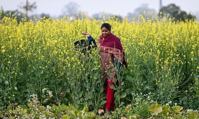 India's AI Boom Empowers Rural Women