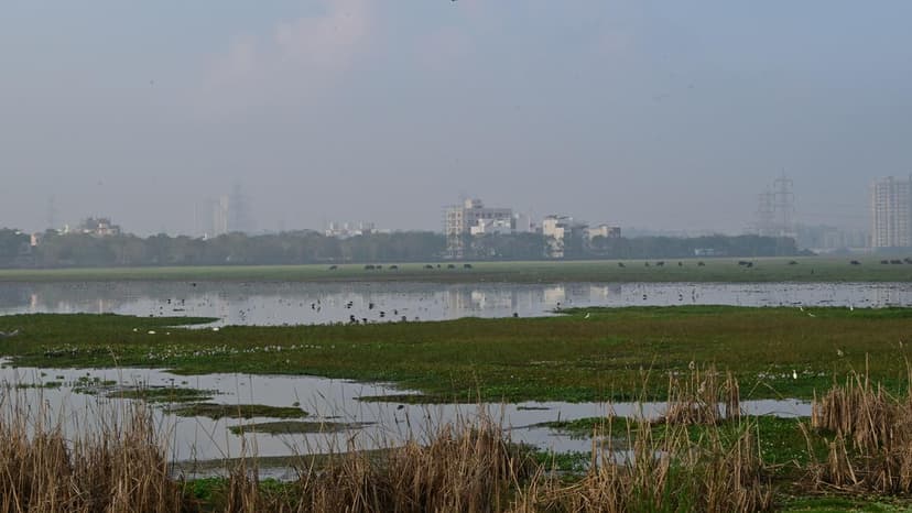 India's Wetlands Vanishing: A Race Against Time