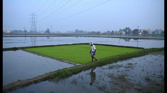 Every Drop Counts: India's Massive Water Conservation Drive