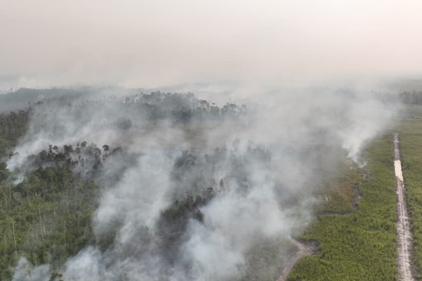 Indonesia Arrests 72 in Raging Forest Fires