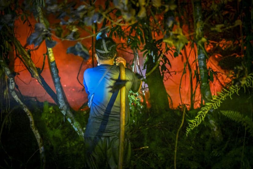 Indonesia's Biofuel Boom: Clean Air or Toxic Smog?