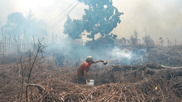 Record Emissions: Indonesian Fires Threaten Climate Goals