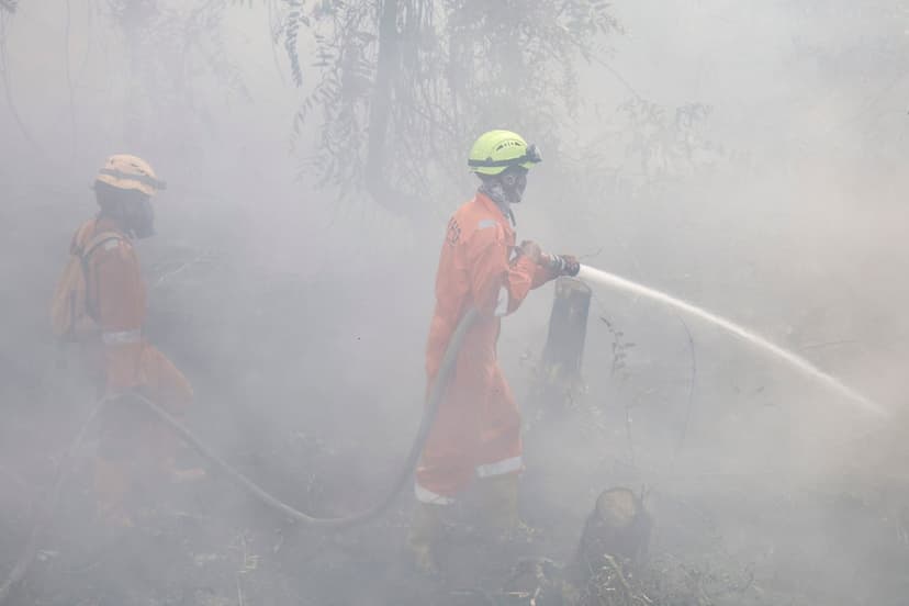 Indonesia Wildfires: 167 Patients Evacuated Amid Toxic Haze