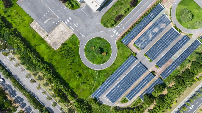 Green Cover Eased: Convenience Over Sustainability?