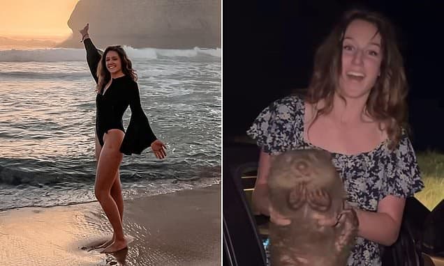 Wombat Harasser Faces Wyoming Hunting Charges