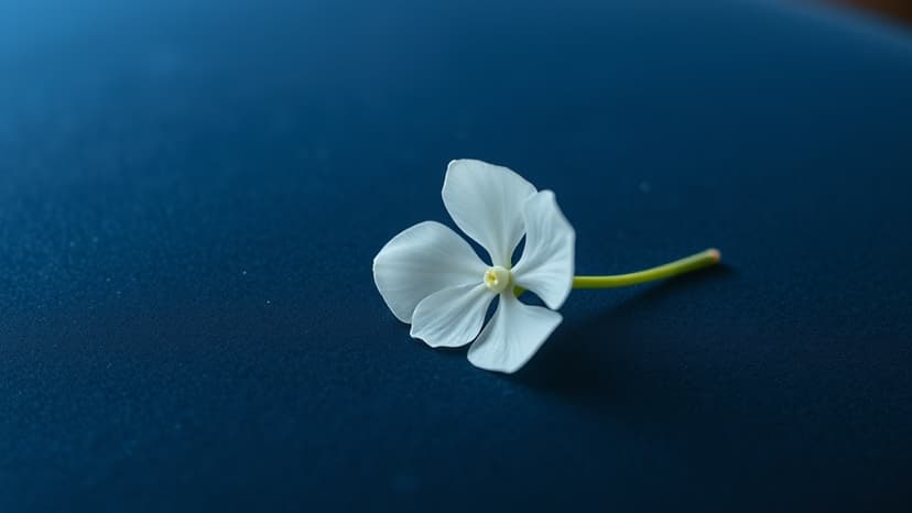 Viral Wedding Star Dies Giving Birth to Baby Boy