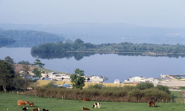Invasive Mussels Invade Northern Ireland Waters