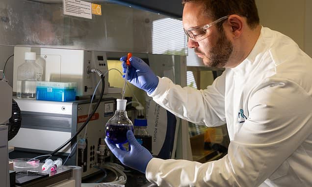 Mini Brains Get Blood Flow Boost