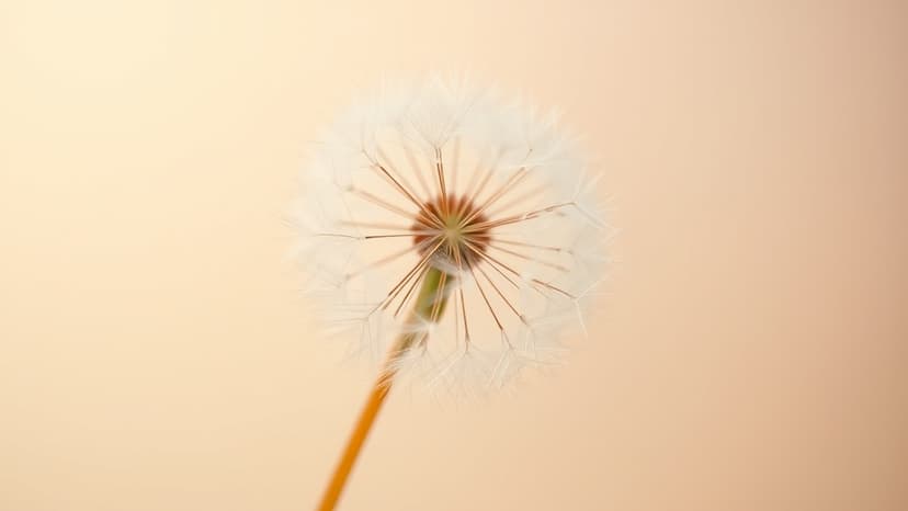 Fertility Doesn't Stop Overnight: Gynaecologist Explains