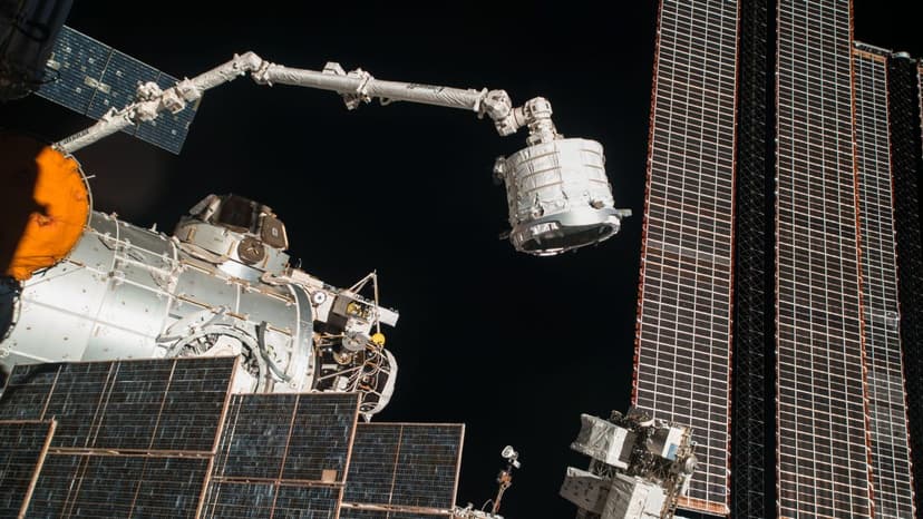 ISS Robotic Arm Stuck: A Critical Failure?