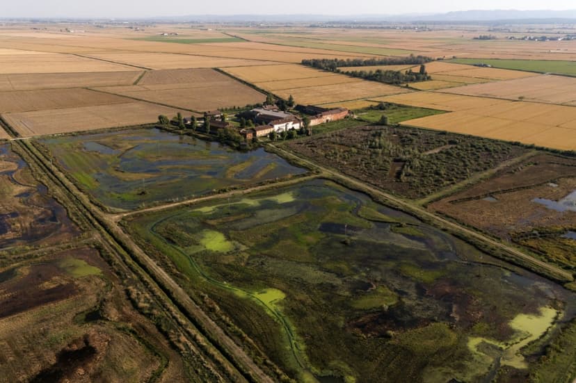 Farmer Revives Wetlands for Biodiversity Over Yield