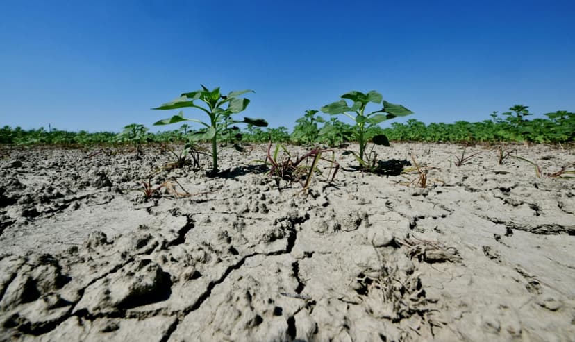 Italy Climate Lawsuit: "Last Judgment" to Rule