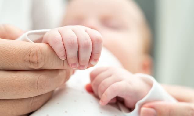 Shorter Wait, Better Embryos: IVF Timing Trick