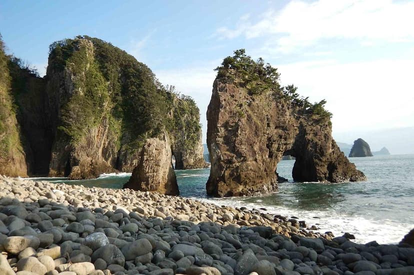 Izu Peninsula: Japan's Wasabi Haven & Waterfall Wonderland