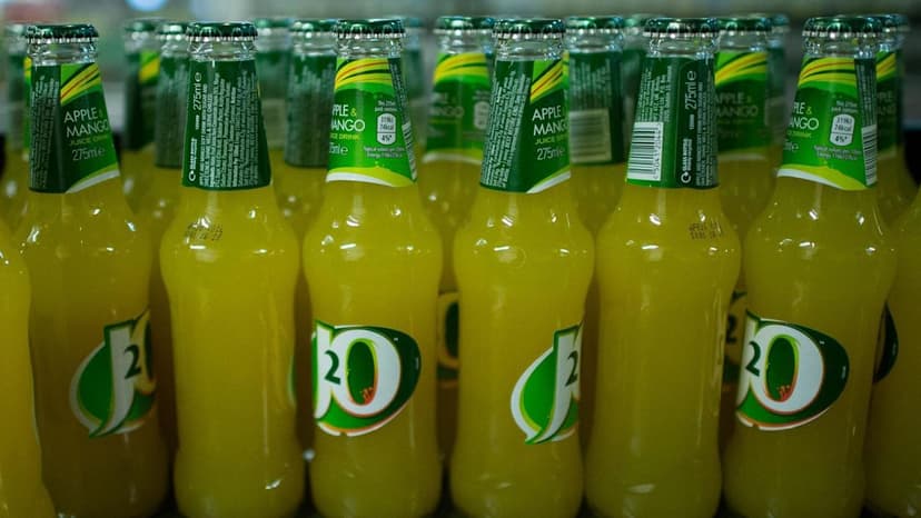 J2O Maker Sued Over Glamping Cabin Copyright Image