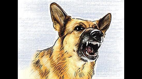 Rabies Scare: Family Tests Negative, Dog Bites Rise