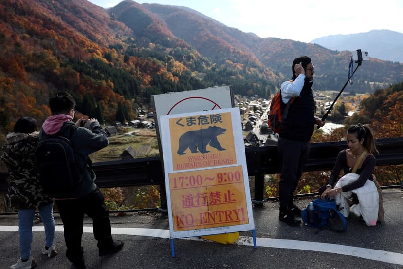 Japan Battles Record Bear Incursions: Cities Act Fast