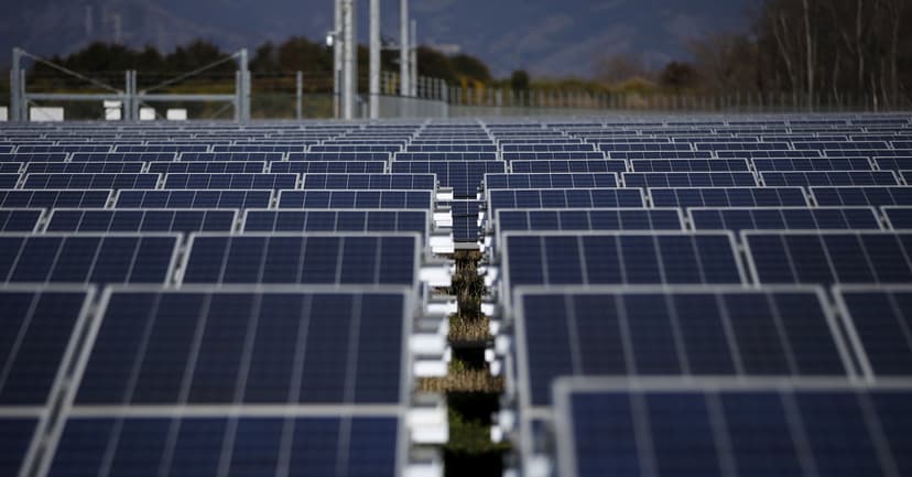 Japan Pauses Mega Solar Projects for Nature