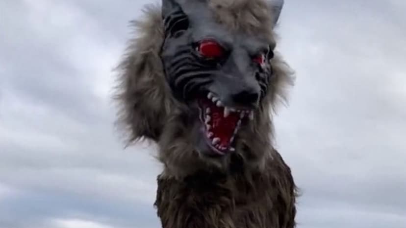 Japan deploys robot wolves against killer bears