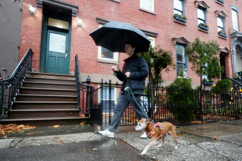 NJ Pet Rent: Jersey City Fees Bite Owners