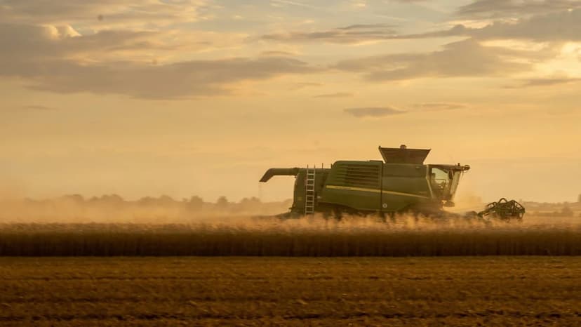 JPMorgan Warns of 2027 Food Inflation Surge