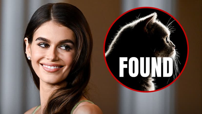 Kaia Gerber's Cat Found Thanks to Friends' Efforts