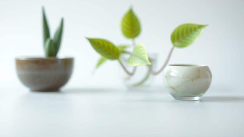 Cold Clash: Kairat Hosts Olympiacos in Do-or-Die Battle