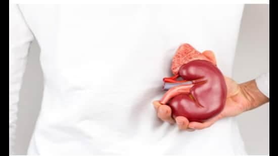 Fake Doctor Ran Kidney Racket, At Least One Death Linked