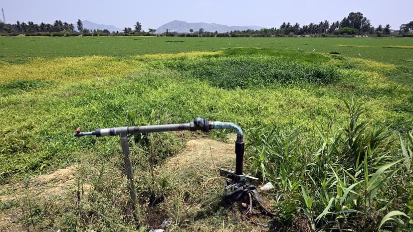 Karnataka Lakes & Wells Mapped in New Census