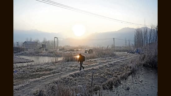Srinagar Freezes: Dal Lake Solidifies in Biting Cold