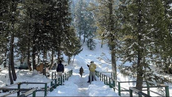 Kashmir's Winter Relief: Late Snow Saves Crucial Water Resources