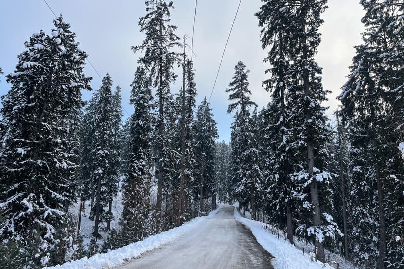 J&K Braces for Rain and Snow Amid Harvest Season
